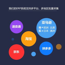 亞馬遜采集上傳erp軟件系統(tǒng)專業(yè)定制部署搭oem貼牌